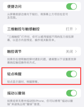 当雄苹果授权维修站分享iPhone轻点无法唤醒怎么办 