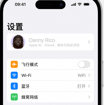 当雄appleID维修服务iPhone设置中Apple ID显示为灰色无法使用