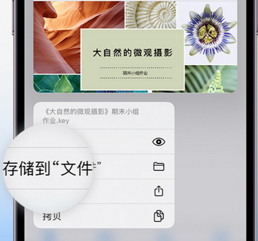 当雄apple维修中心分享iPhone文件应用中存储和找到下载文件