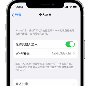 当雄apple服务站点分享iPhone上个人热点丢失了怎么办