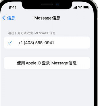 当雄apple维修iPhone上无法正常发送iMessage信息 