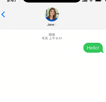 当雄apple维修iPhone上无法正常发送iMessage信息