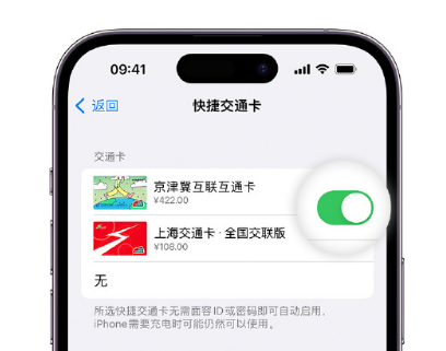 当雄apple维修点分享iPhone上更换Apple Pay快捷交通卡手绘卡面 