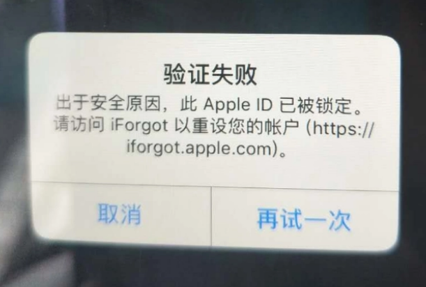 当雄iPhone维修分享iPhone上正常登录或使用AppleID怎么办 