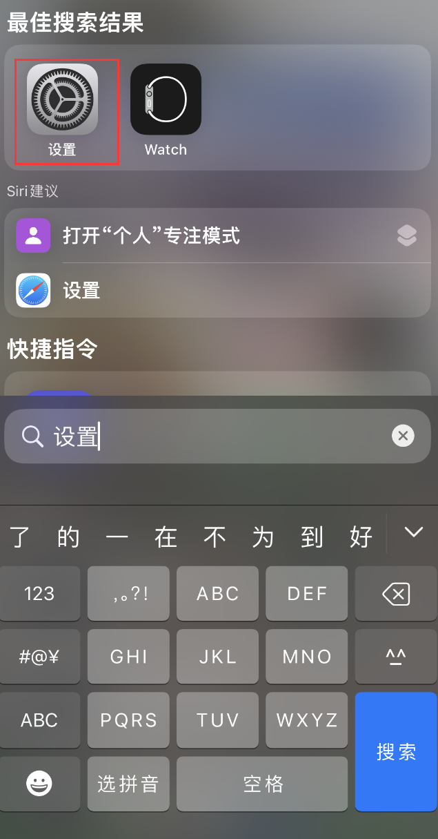 当雄苹果手机维修分享：iPhone 找不到“设置”或“App Store”怎么办？ 