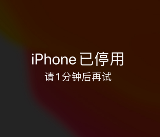 当雄苹果手机维修分享:iPhone 显示“不可用”或“已停用”怎么办？还能保留数据吗？ 