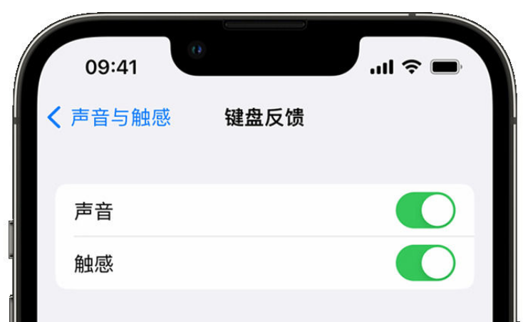 当雄苹果手机维修分享iPhone 14触感键盘使用方法 