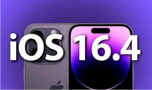 当雄苹果14维修分享：iPhone14可以升级iOS16.4beta2吗？ 