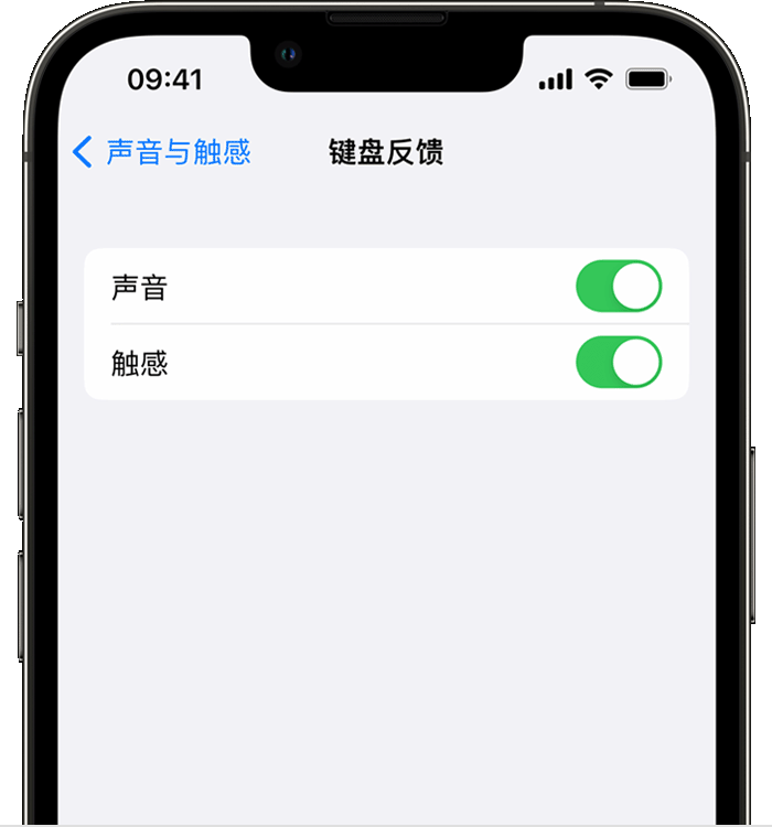 当雄苹果14维修店分享如何在 iPhone 14 机型中使用触感键盘 