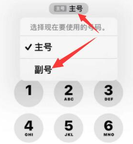 当雄苹果14维修店分享iPhone 14 Pro Max使用副卡打电话的方法 