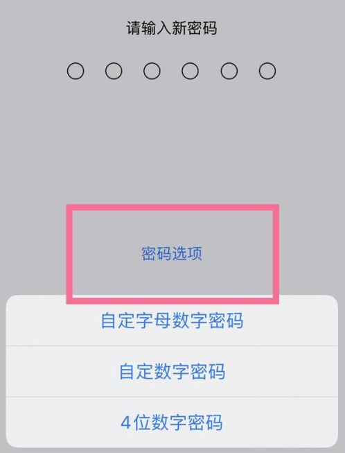 当雄苹果14维修分享iPhone 14plus设置密码的方法 