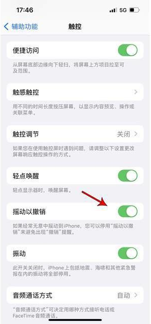 当雄苹果手机维修分享iPhone手机如何设置摇一摇删除文字 