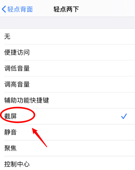 当雄苹果手机维修分享iPhone12如何启用双击截屏 
